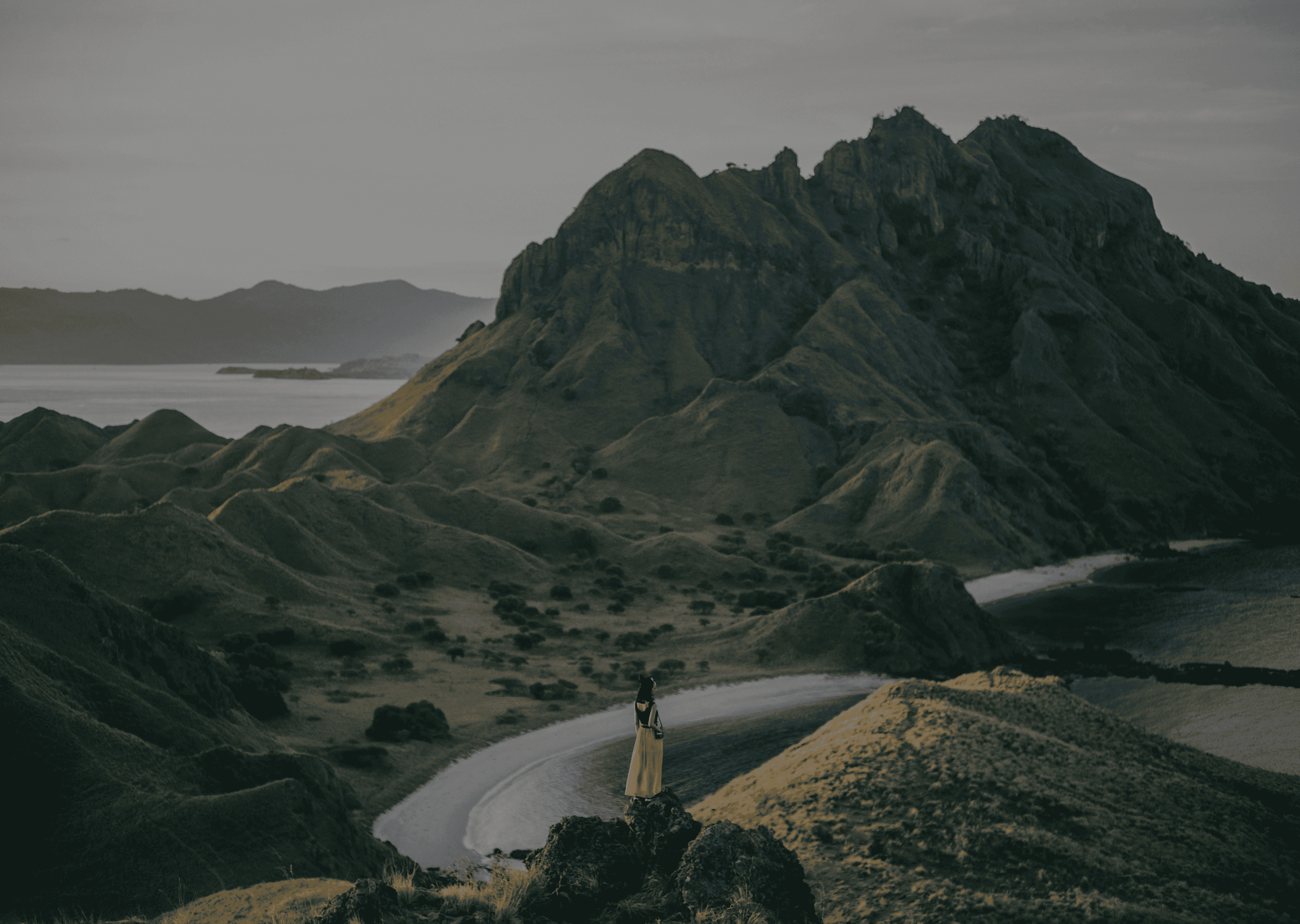Section Background
